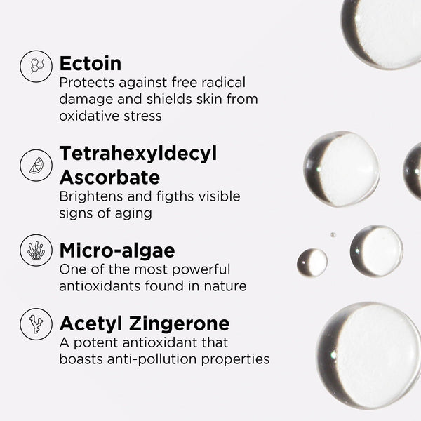 DAILY PREVENTION SPF sampler set Image Skincare